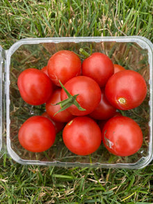 Tomato Cherry Punnet