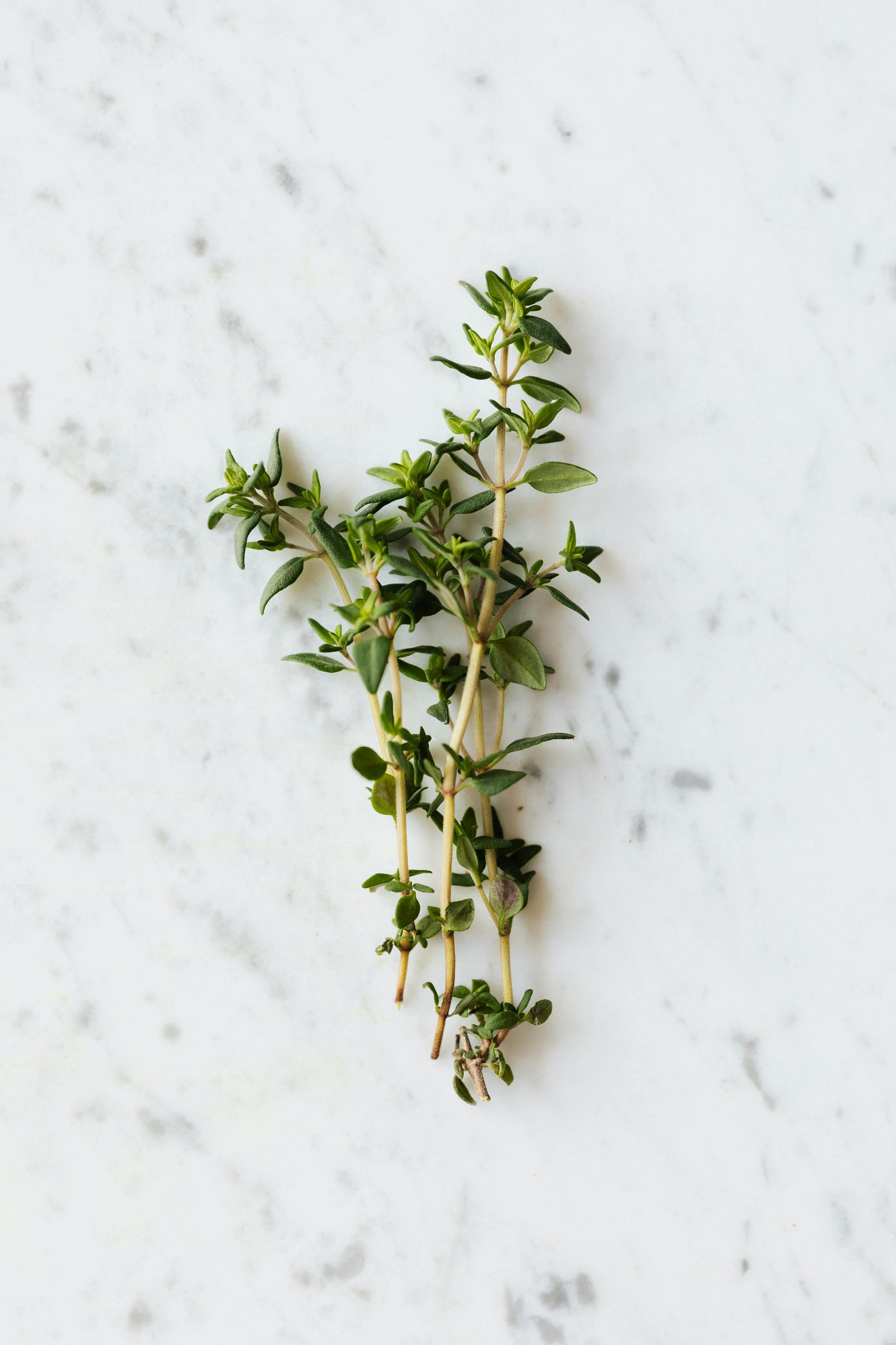 Thyme - Bunch