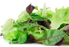 Salad Mix Pack