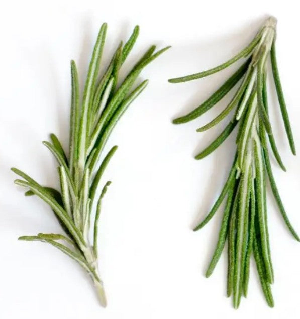 Rosemary - Bunch