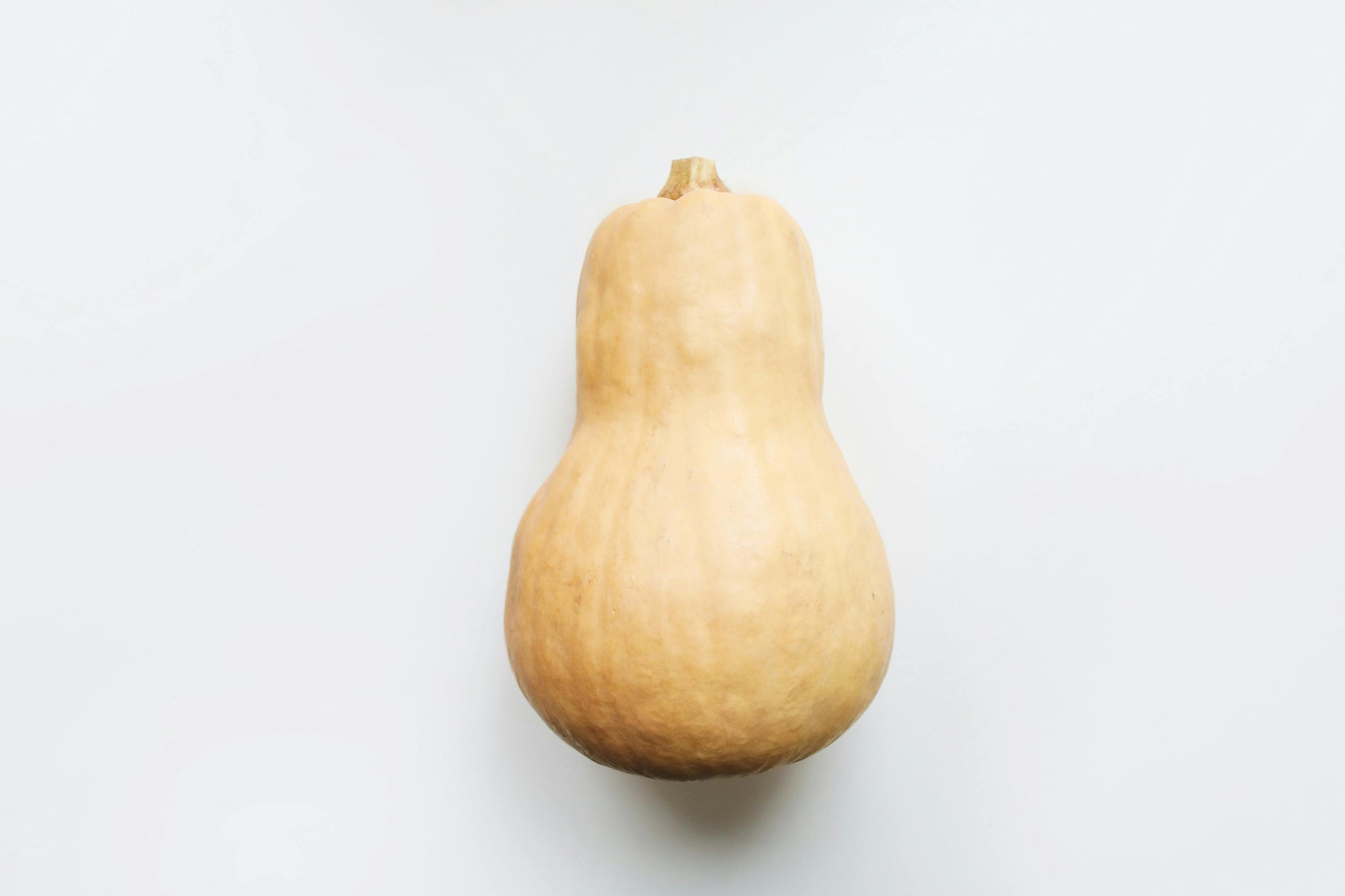 Pumpkin Butternut