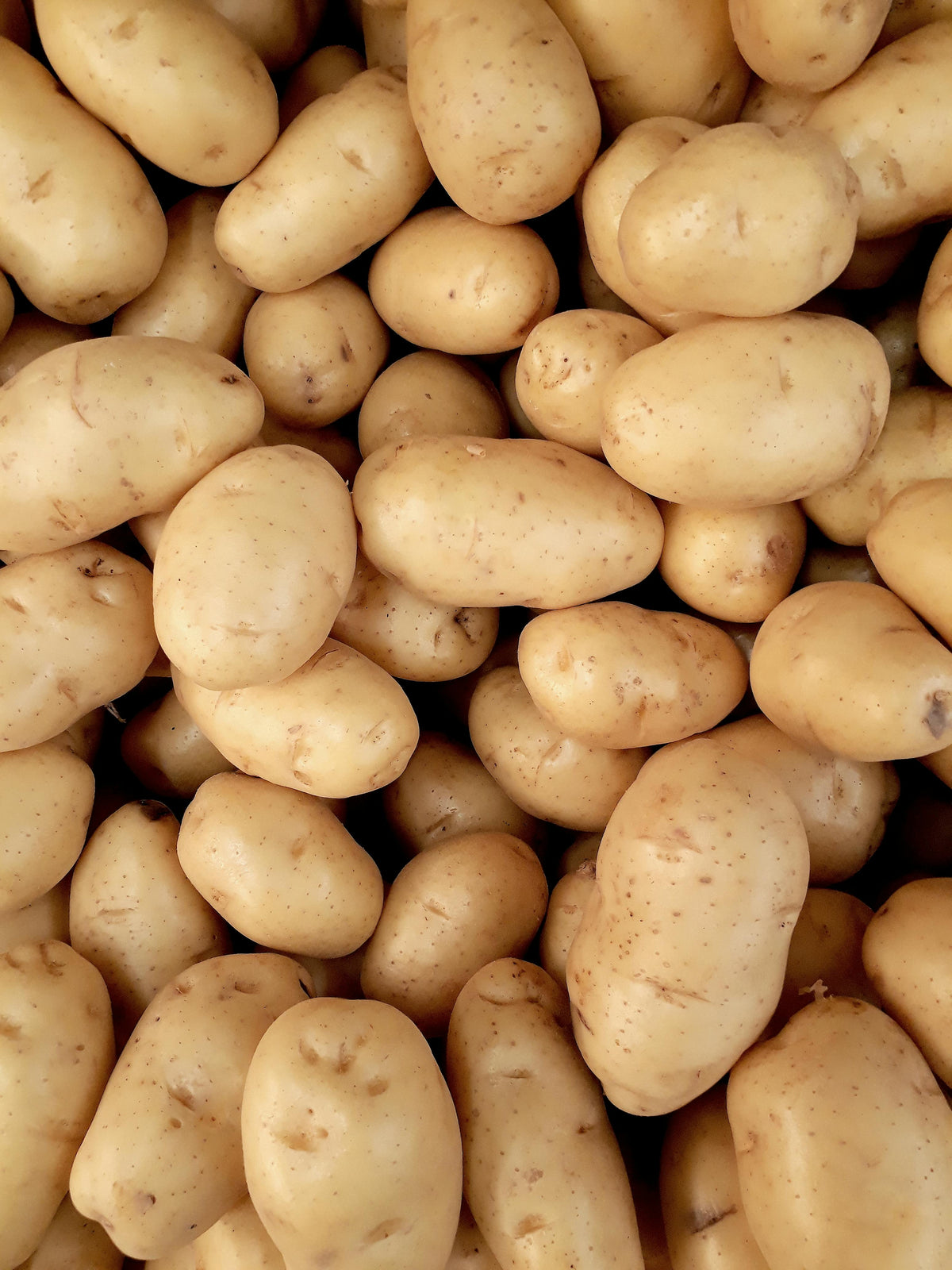 Potato Loose