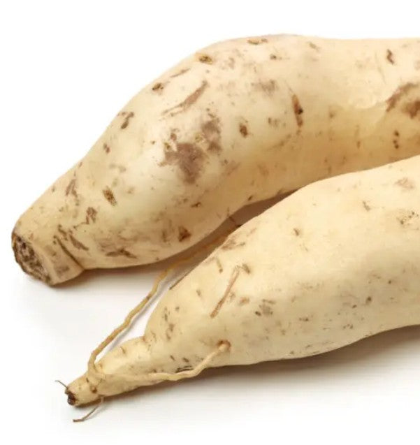 Potato Sweet White