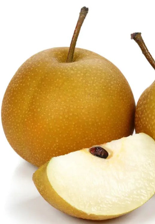 Pear - Nashi