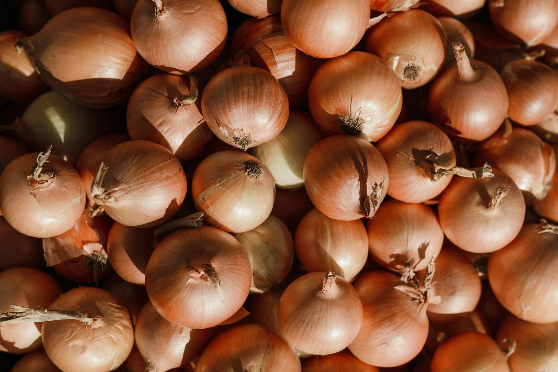 Onions - Brown