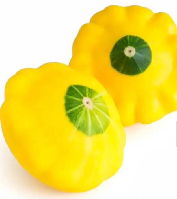 Squash