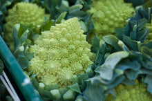 Romanesco