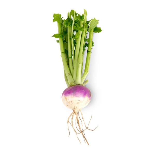 Turnip Bunch