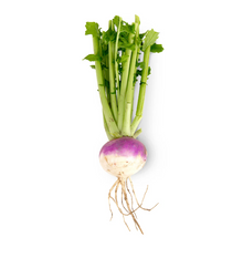 Turnip Bunch