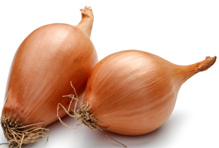 Shallots