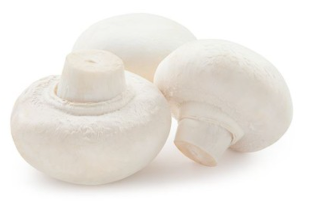 Mushroom - Cups/flat