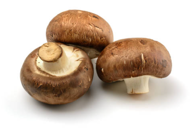 Mushroom - Swiss Brown