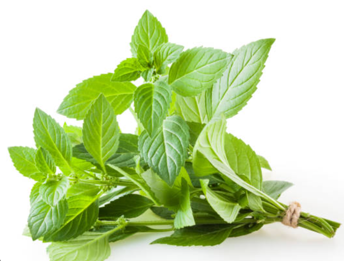 Mint Bunch