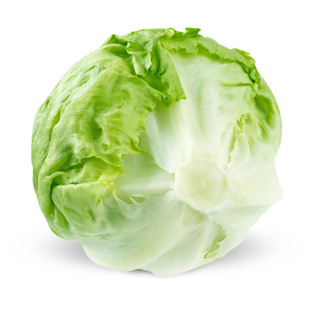 Lettuce - Iceberg