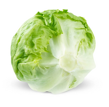 Lettuce - Iceberg