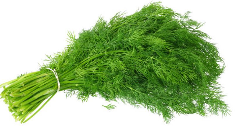 Dill Bunch