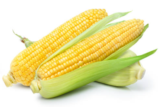 Corn
