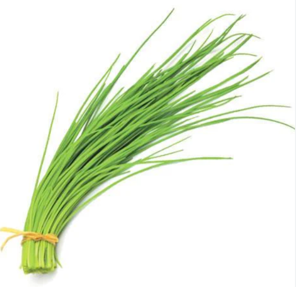 Chives Bunch