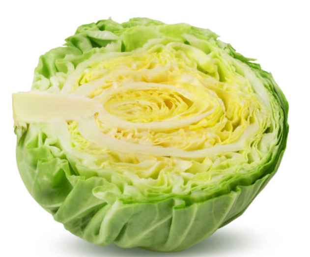 Cabbage - Half