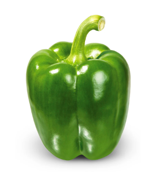 Capsicum - Green