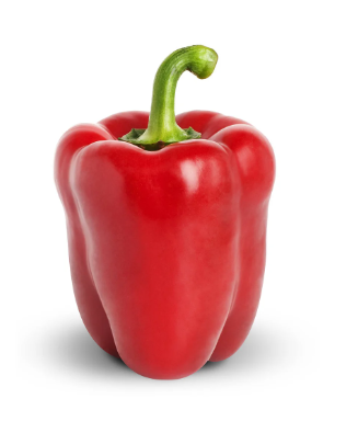 Capsicum - Red