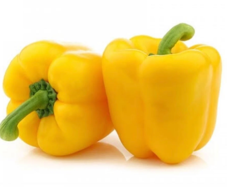 Capsicum - Yellow