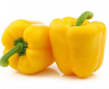 Capsicum - Yellow