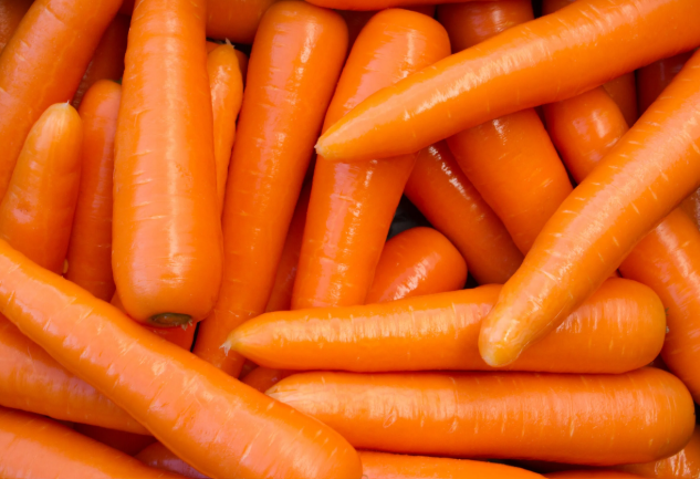 Carrot - Orange