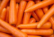 Carrot - Orange