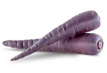 Carrot - Purple