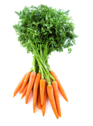 Carrots Bunch