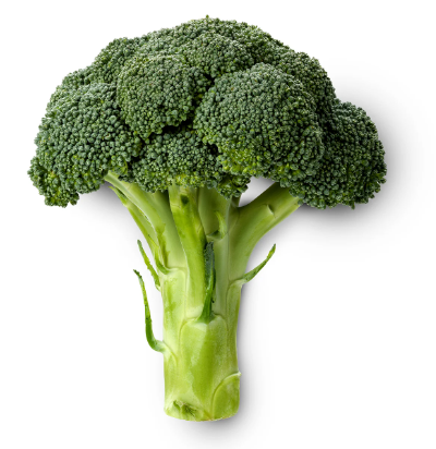 Broccoli