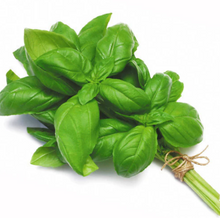 Basil Bunch