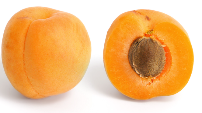 Apricot