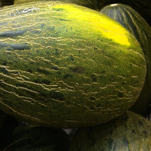 Piel De Sapo Melon Kg