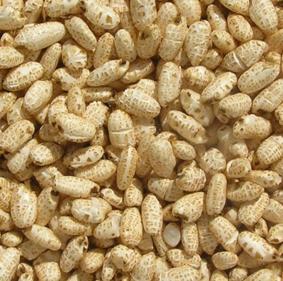 Puffed Brown Rice 1kg