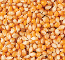 Popcorn 1kg
