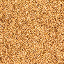 Linseed Golden 1kg