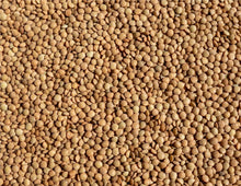 Brown Lentils