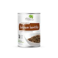 Global Organics - Lentils Brown Organic (canned) 400g