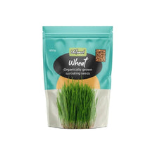 Untamed Health - Wheat sprouting seeds 100g