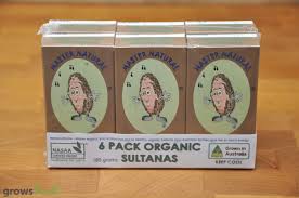 Jones - Sultanas 6 Pack 180g