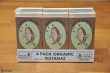 Jones - Sultanas 6 Pack 180g