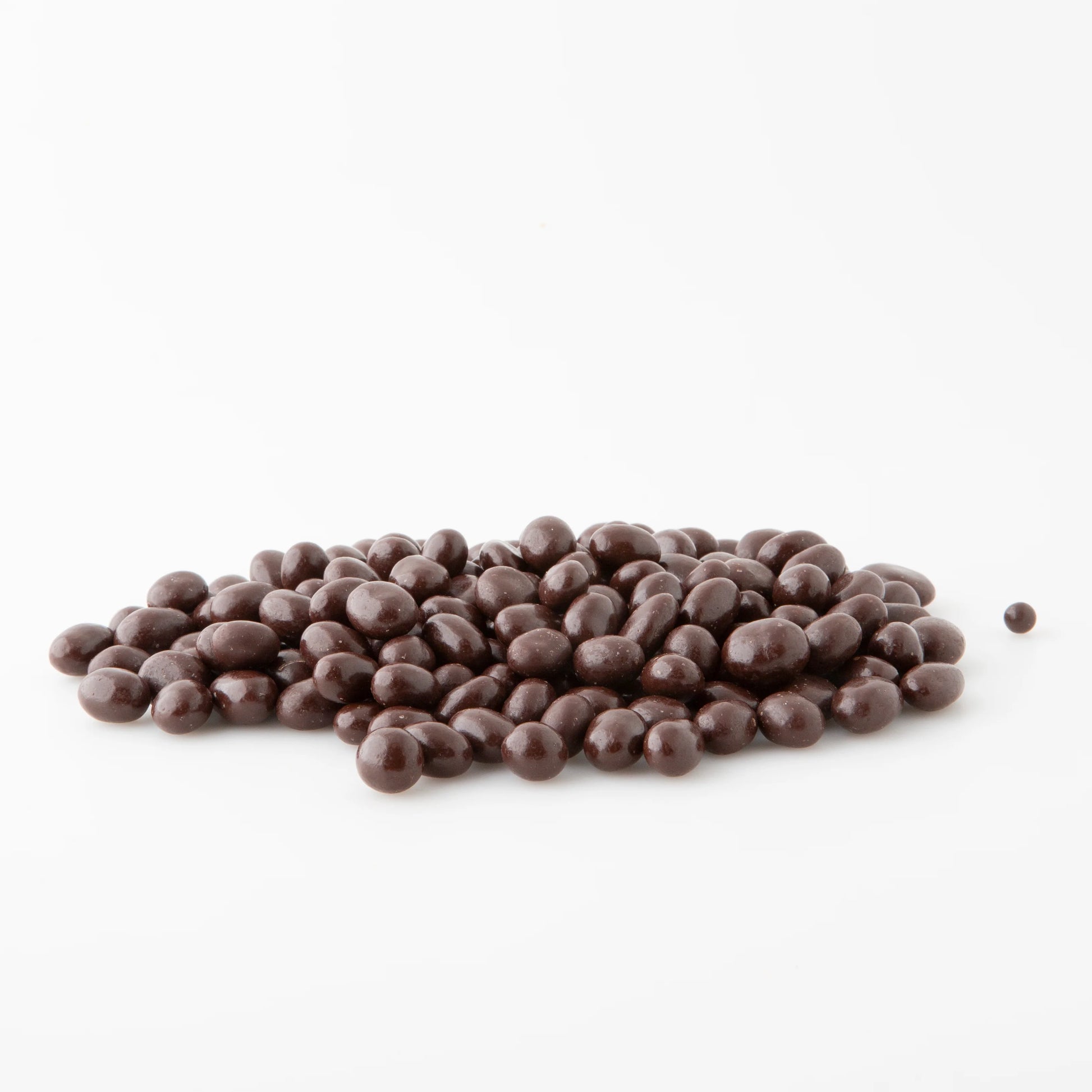 Choc Sultana (dark)